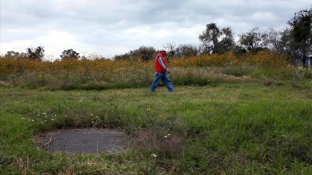 imagen3