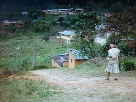 imagen2
