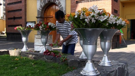 imagen1