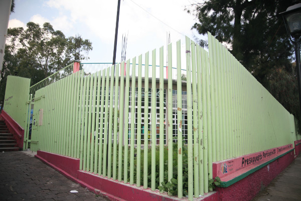 imagen1