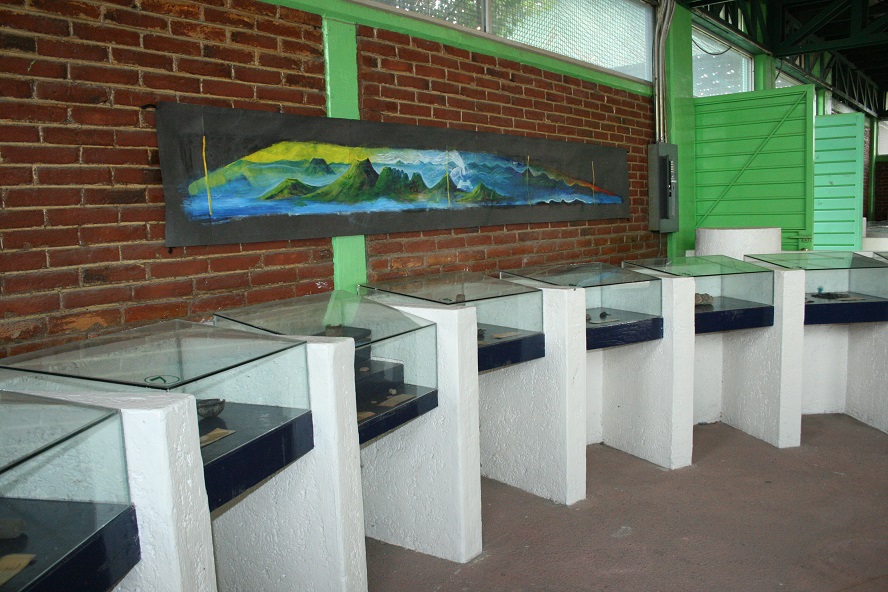 imagen1