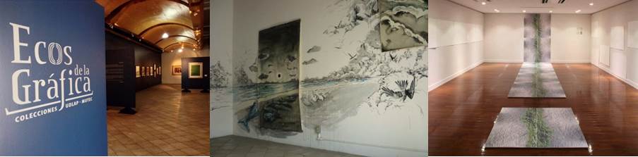 imagen1