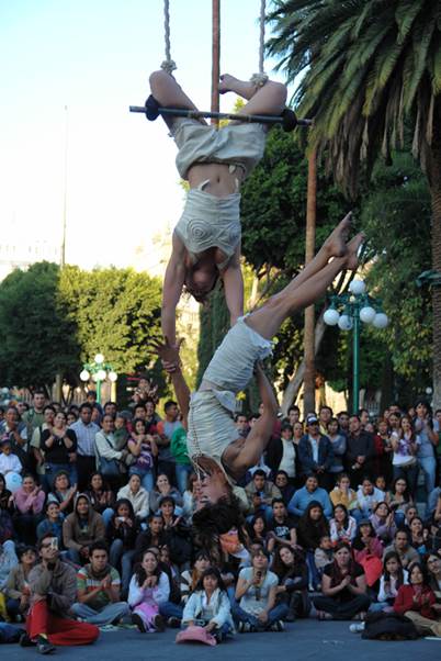 imagen1