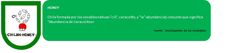 imagen1
