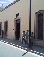 imagen1