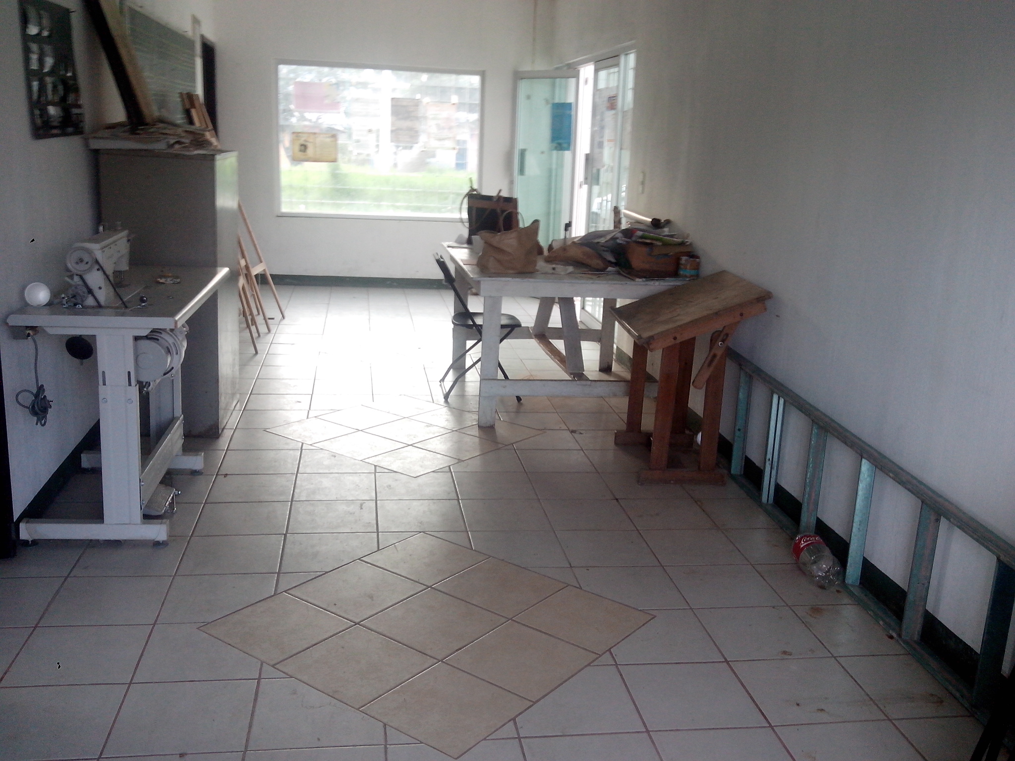 imagen3