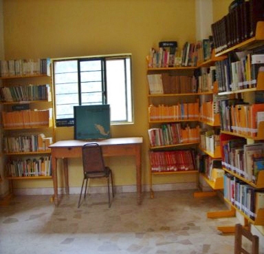 imagen2