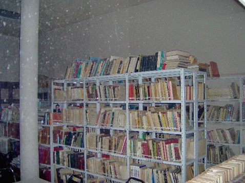 imagen2