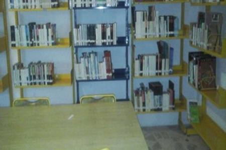 imagen3