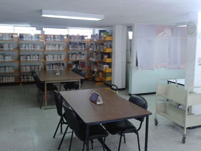 imagen3