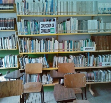 imagen3