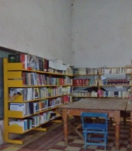 imagen1
