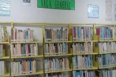 imagen1