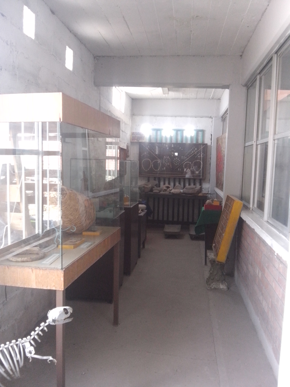 imagen1