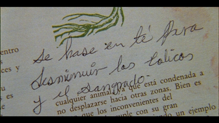 imagen2