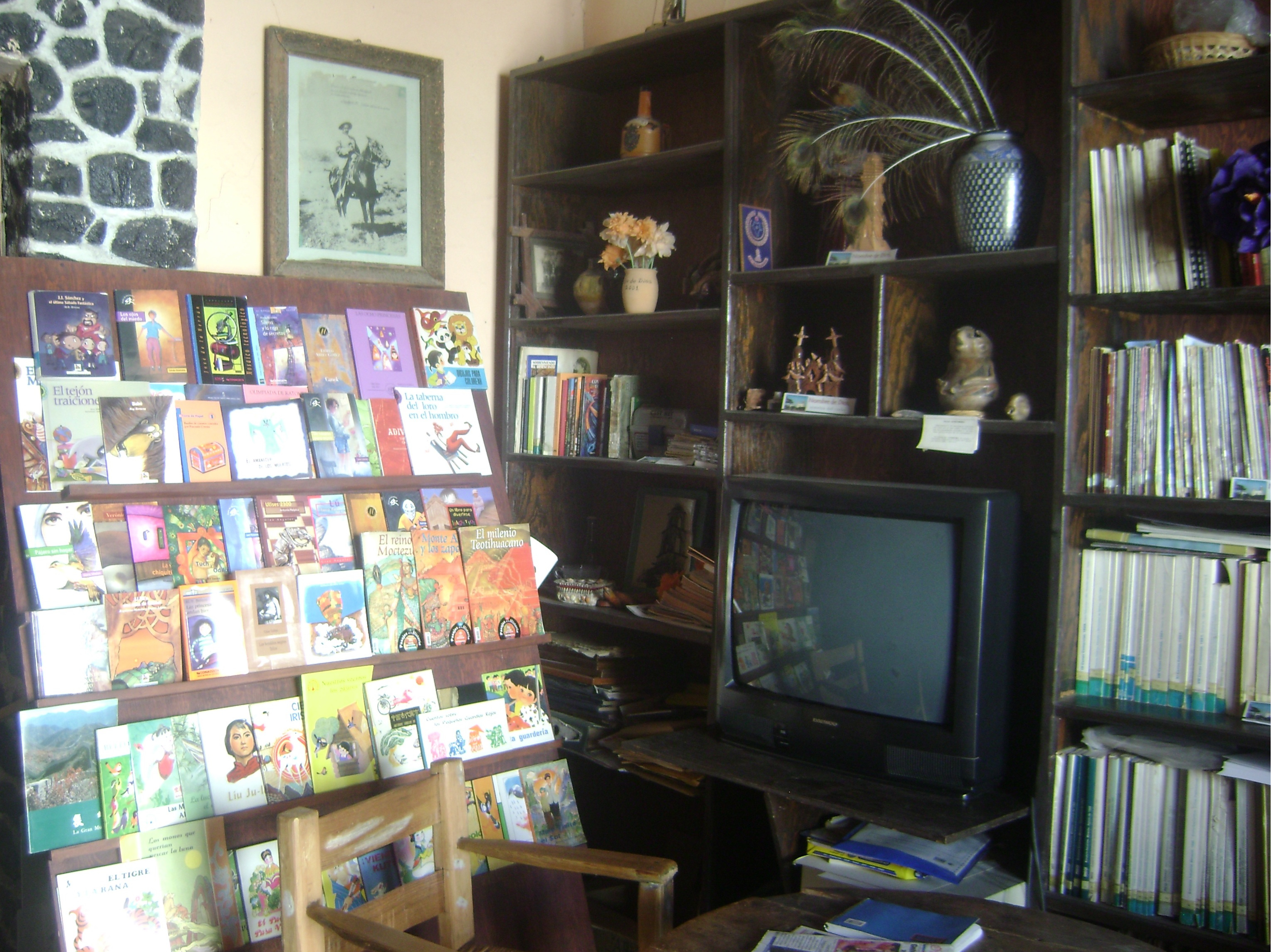 imagen1