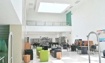 imagen3