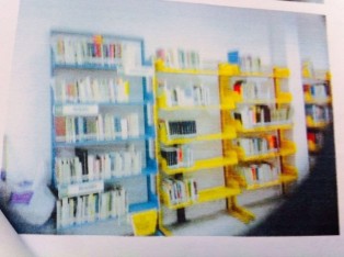 imagen0