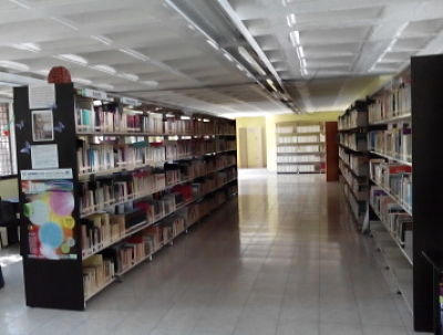 imagen0