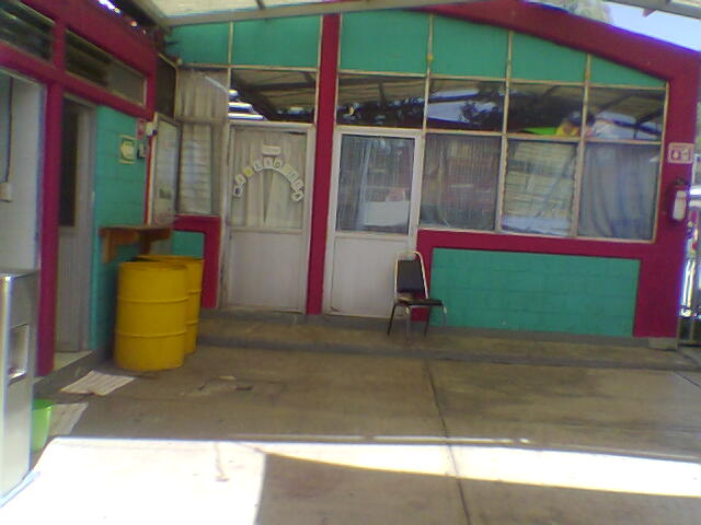 imagen3