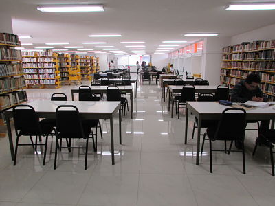 imagen2
