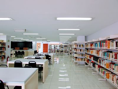 imagen1