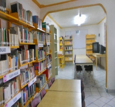 imagen1