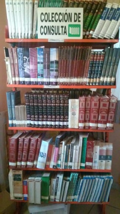 imagen1