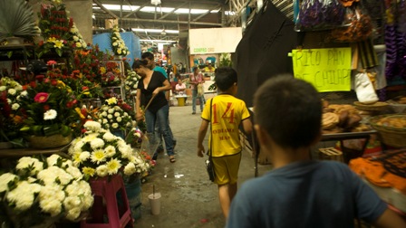 imagen3