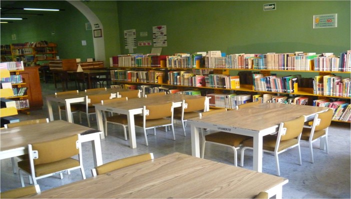 imagen1