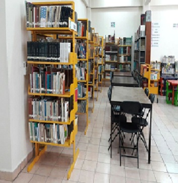 imagen1