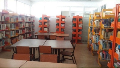 imagen2