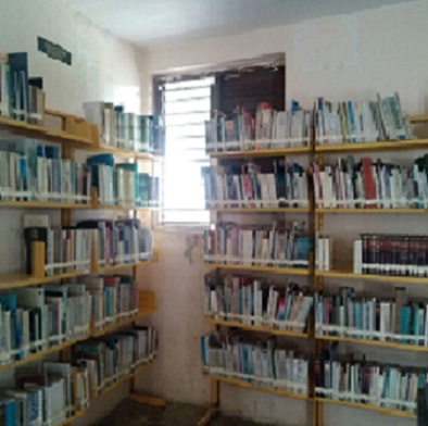 imagen2