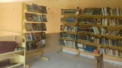 imagen1