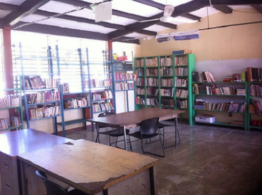 imagen1