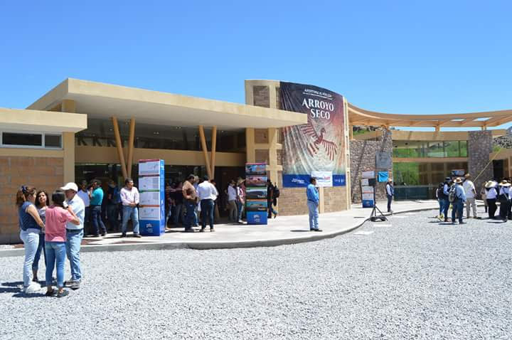 imagen3
