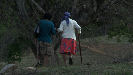 imagen2