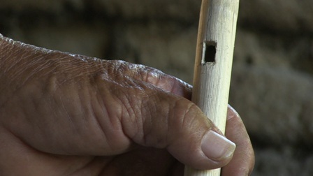 imagen0