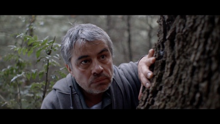 imagen2