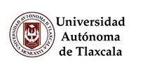imagen1
