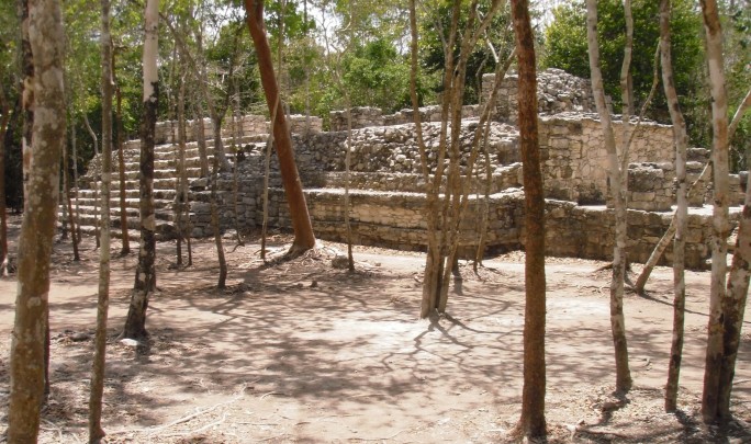 imagen2