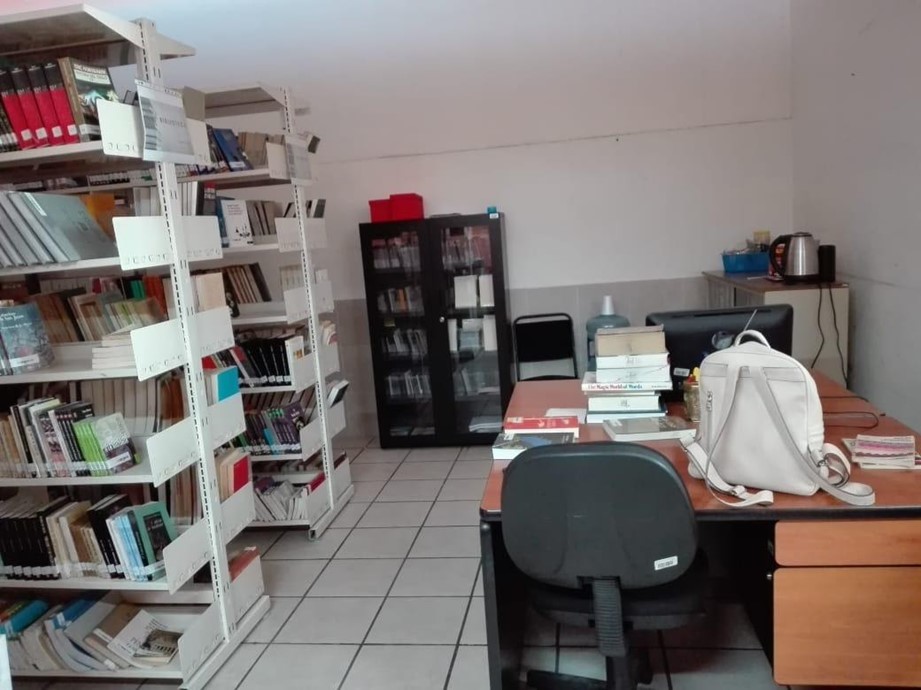 imagen3