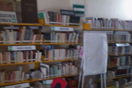 imagen2