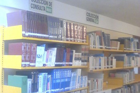 imagen1