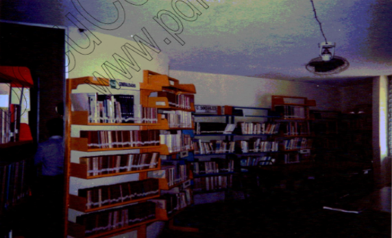 imagen0