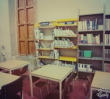 imagen3