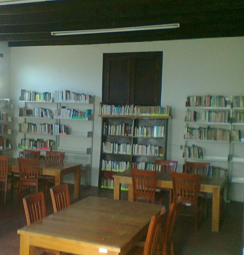 imagen1