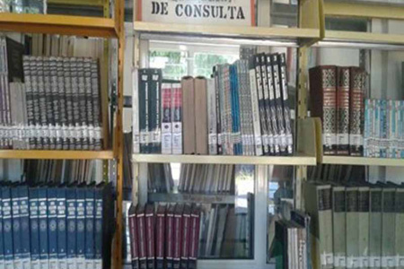 imagen3