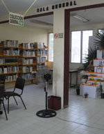 imagen3