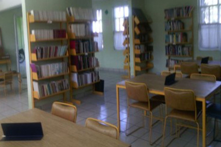 imagen3